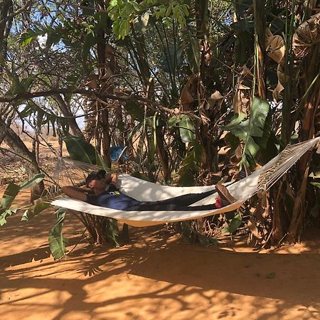 Honeyguide Ranger Camp Hotell Golders Green Eksteriør bilde