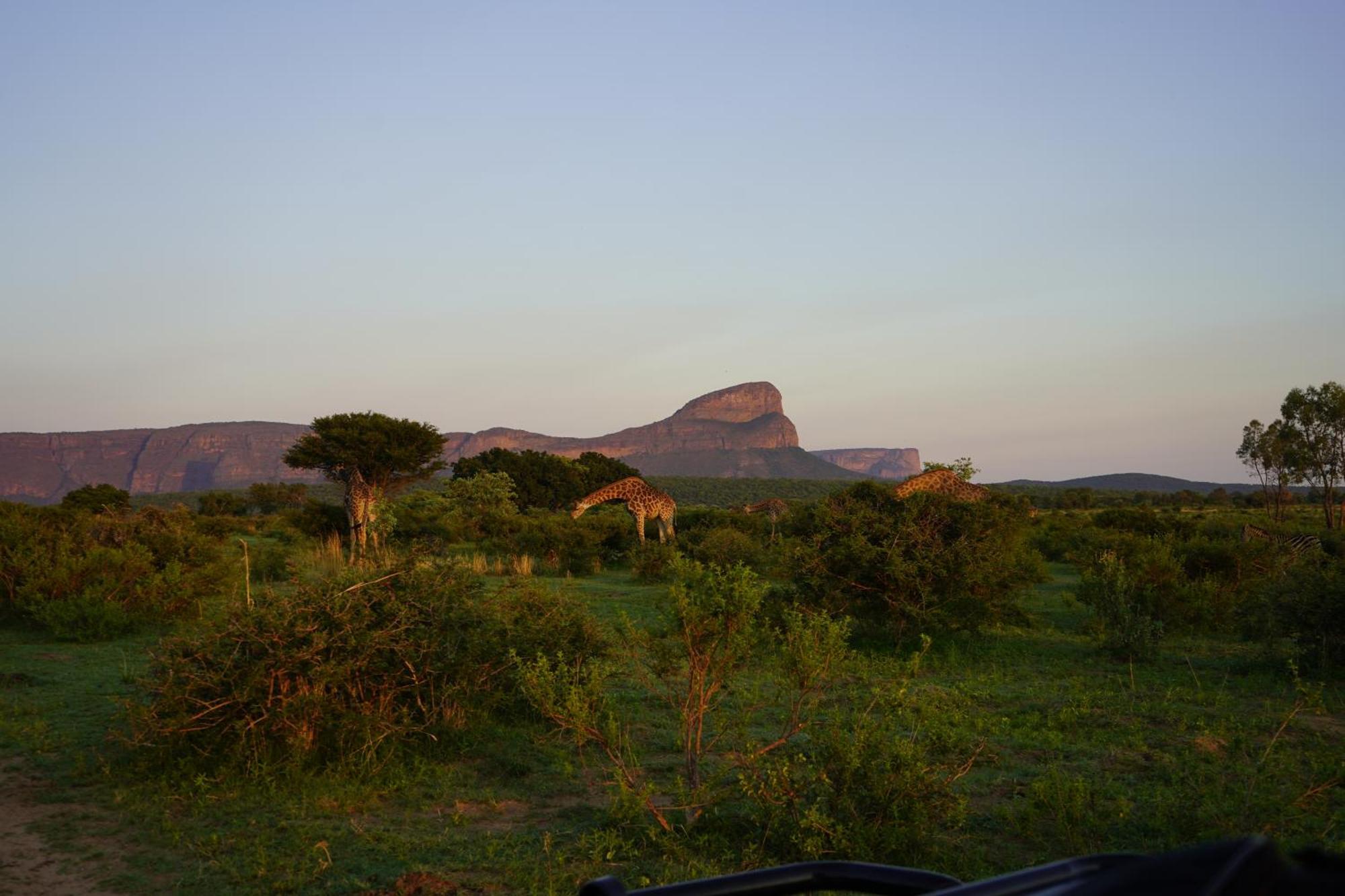Honeyguide Ranger Camp Hotell Golders Green Eksteriør bilde