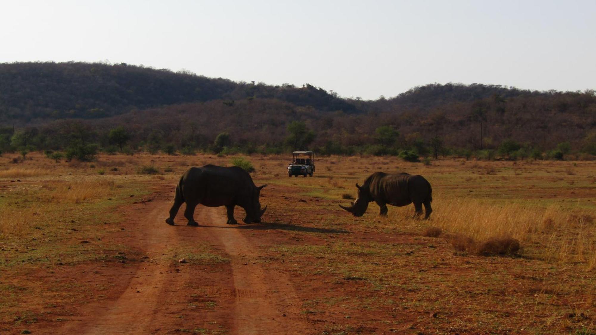 Honeyguide Ranger Camp Hotell Golders Green Eksteriør bilde