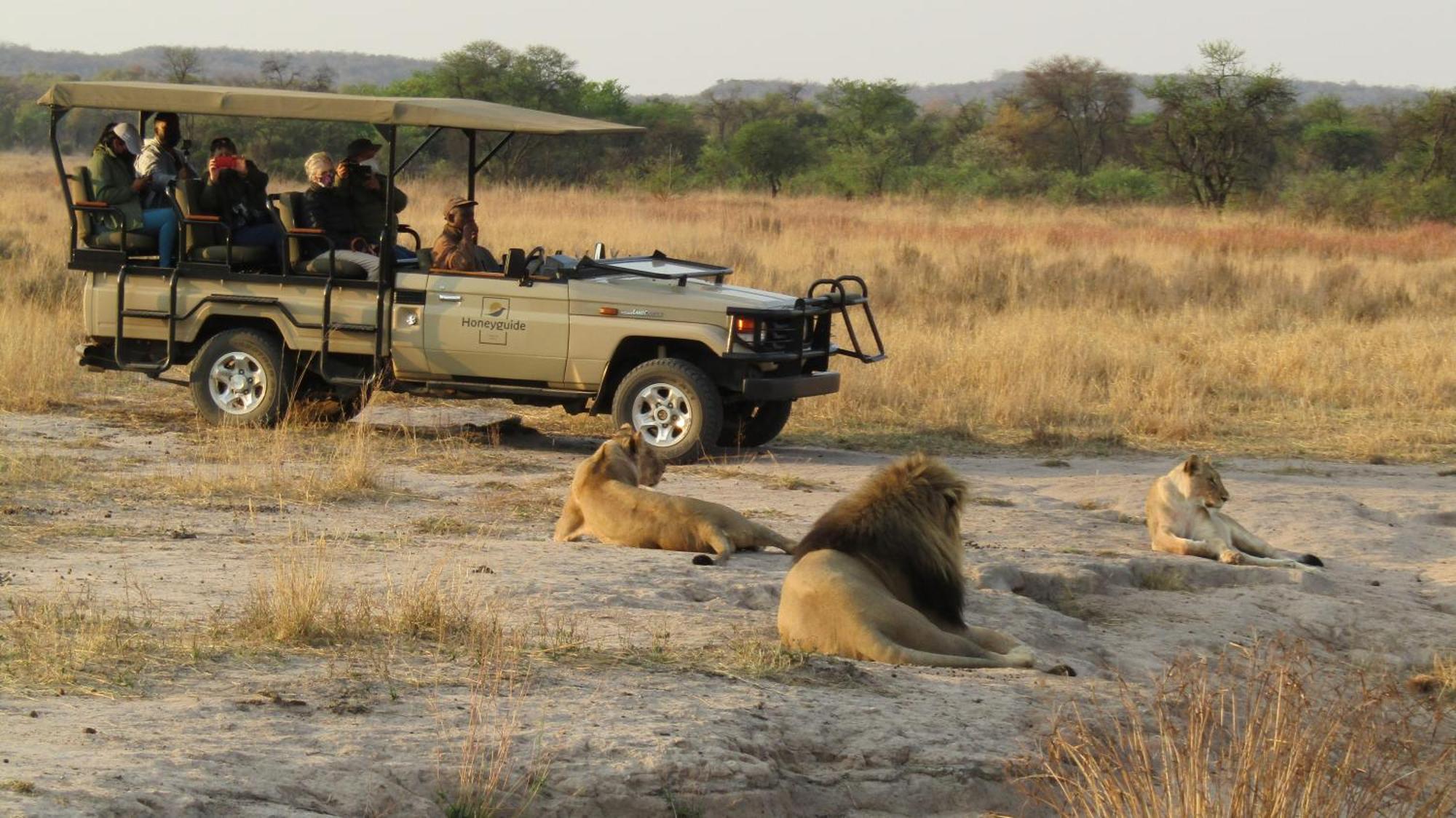 Honeyguide Ranger Camp Hotell Golders Green Eksteriør bilde