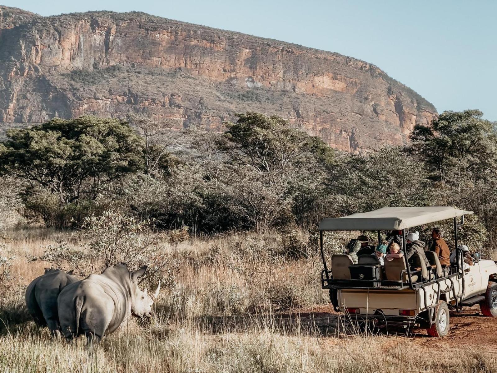 Honeyguide Ranger Camp Hotell Golders Green Eksteriør bilde