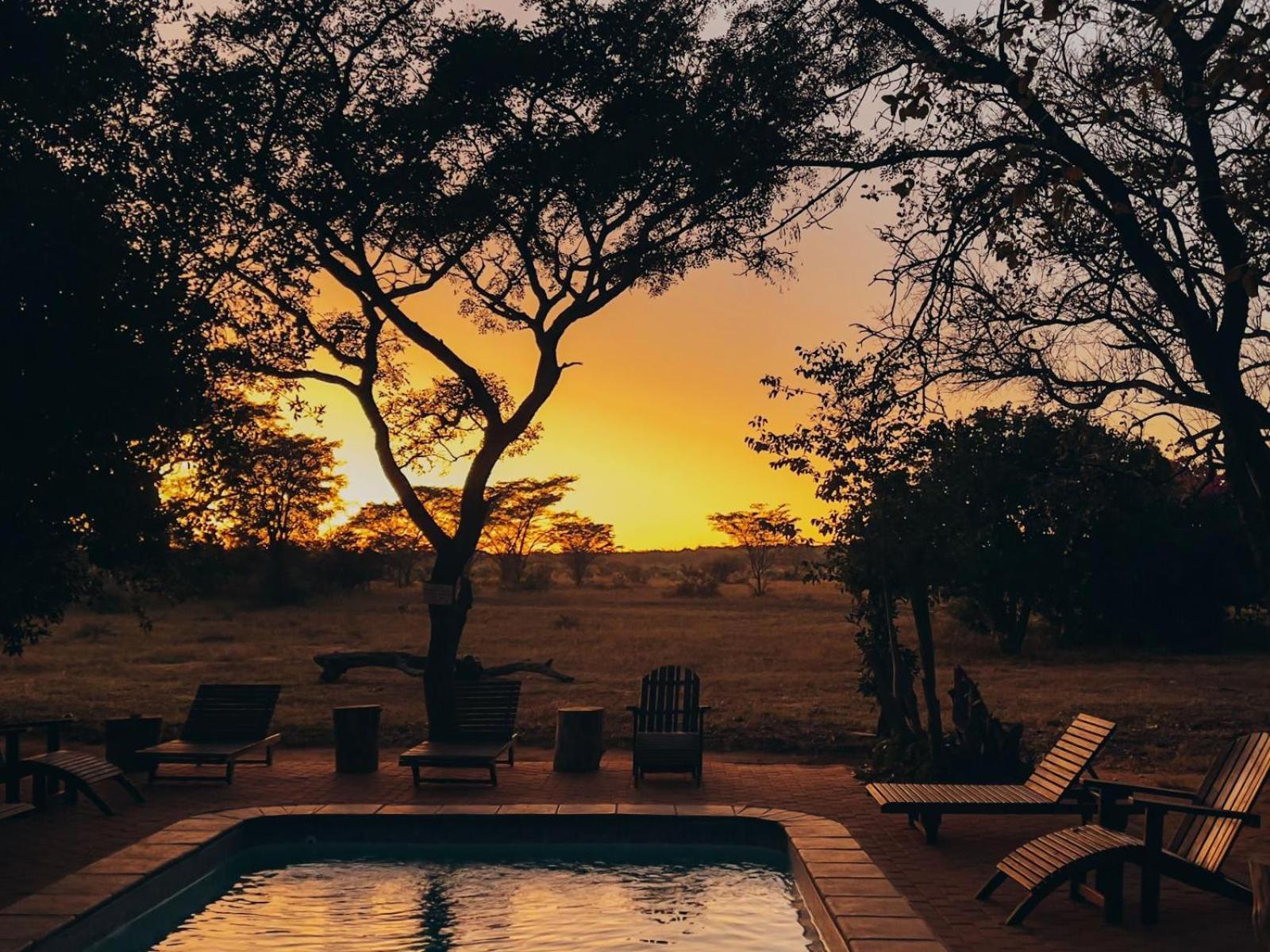 Honeyguide Ranger Camp Hotell Golders Green Eksteriør bilde